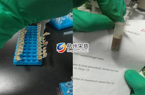 <a href=http://seemarketing.cn/prouduct/lengdong/ target=_blank class=infotextkey>冷凍研磨儀</a>