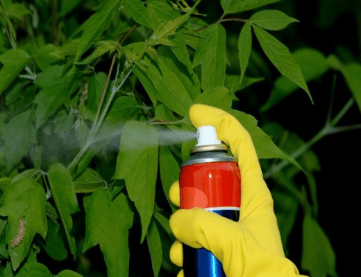 殺蟲(chóng)劑消泡劑應(yīng)用場(chǎng)景圖