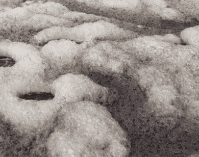 聚氨酯消泡劑應用場景圖